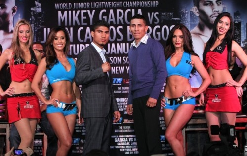 MSG 2_01 マイキーvsブルゴス最終会見(ボクシングニュース)