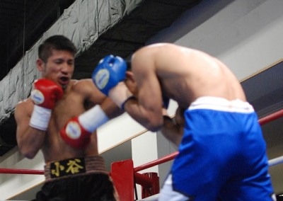 小谷１R、ダド２R楽勝（ボクシングニュース）