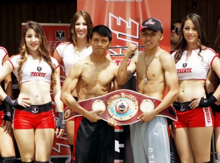 サビージョとロドリゲスが明日対戦、WBOミニマム（ボクシングニュース）