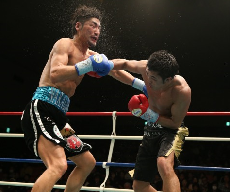 shibata 柴田がミドル級王座統一(ボクシングニュース)