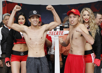 WBASFI あすWBAスーパーフライ級暫定戦(ボクシングニュース)