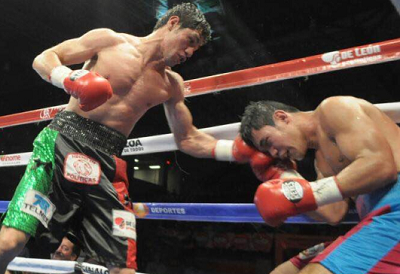 estrella エストレージャが三浦隆司挑戦に前進(ボクシングニュース)